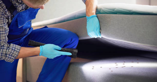 Best Pest Prevention Services  in Stiles, PA